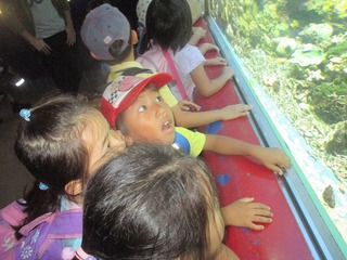 IMG_6035.jpg