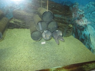IMG_6040.jpg