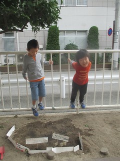 IMG_6472.jpg