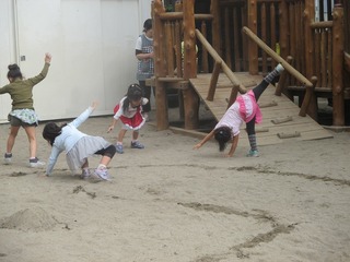 IMG_6481.jpg