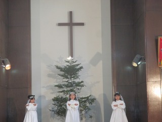 IMG_7816.jpg