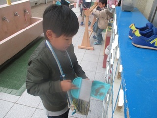 IMG_8005.jpg