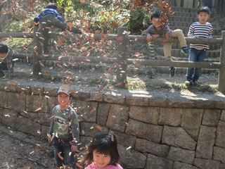 IMG_8323.jpg