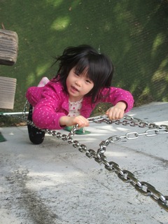 IMG_8466.jpg