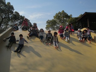 IMG_8499.jpg