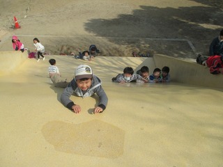 IMG_8524.jpg
