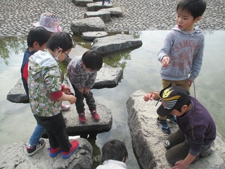IMG_8537.jpg