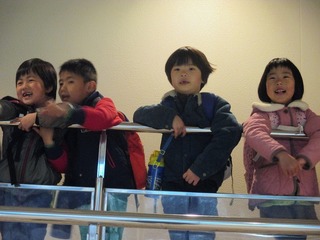 IMG_8762.jpg
