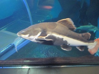 IMG_8775.jpg