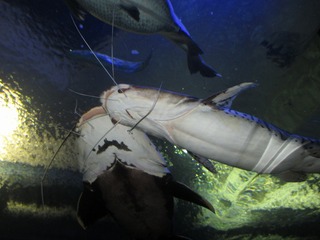 IMG_8783.jpg