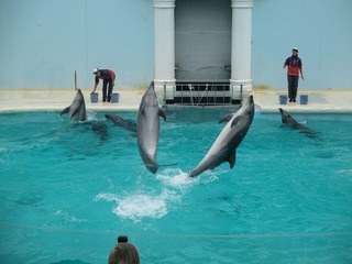 IMG_8812.jpg