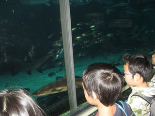 IMG_8890.jpg