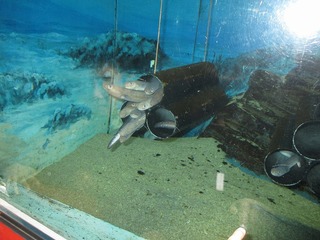 IMG_8895.jpg