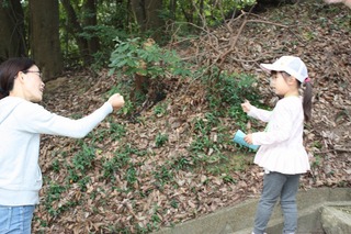 IMG_9030.jpg