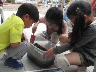 IMG_9661.jpg