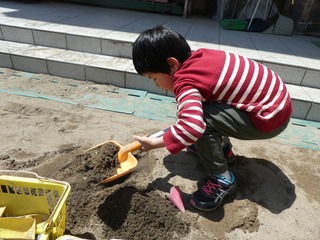 P1030161.jpg