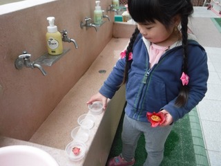 s-DSCF0130.jpg