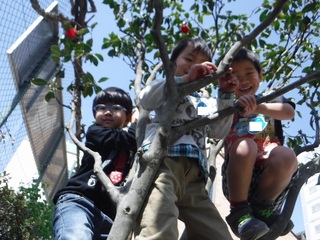 s-DSCF1394.jpg