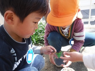 s-DSCF1395.jpg