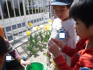 s-DSCF1396.jpg