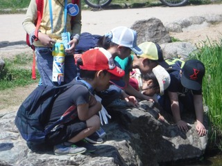 s-DSCF1628.jpg