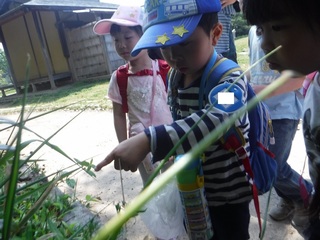 s-DSCF1631.jpg