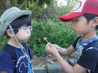 s-DSCF1634.jpg