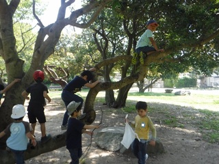 s-DSCF1649.jpg