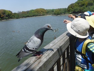 s-DSCF1706.jpg