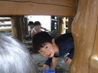 s-DSCF1878.jpg