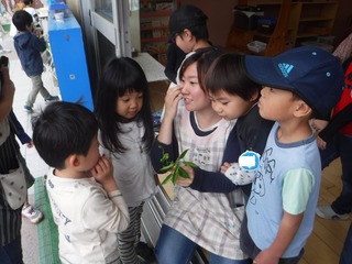 s-DSCF2173.jpg