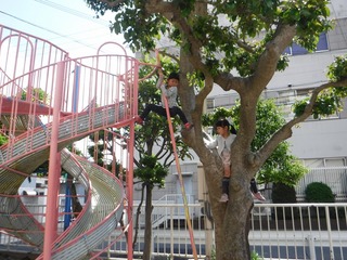 s-DSCF2337.jpg