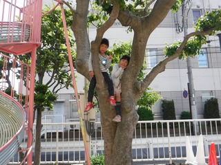 s-DSCF2338.jpg