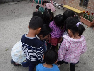 s-DSCF2591.jpg