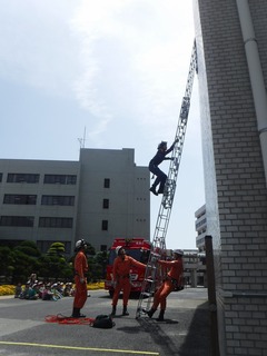 s-DSCF2594.jpg