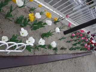 s-DSCF2598.jpg