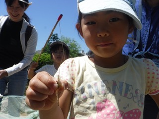 s-DSCF3023.jpg