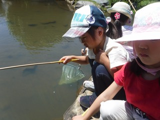 s-DSCF3029.jpg