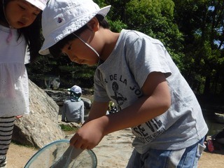 s-DSCF3031.jpg