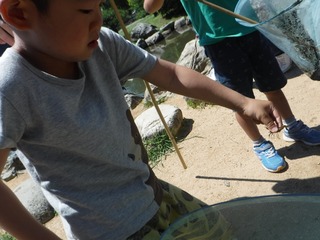 s-DSCF3042.jpg