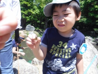 s-DSCF3046.jpg