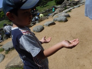 s-DSCF3067.jpg