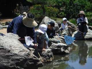 s-DSCF3092.jpg