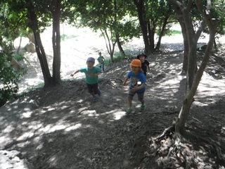 s-DSCF3129.jpg