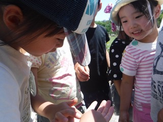 s-DSCF3157.jpg