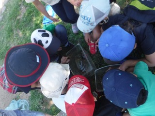 s-DSCF3173.jpg