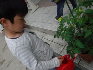 s-DSCF3444.jpg