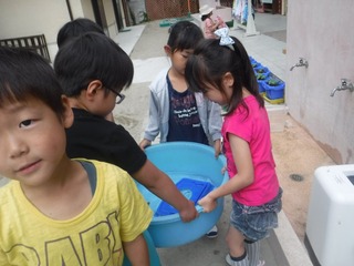 s-DSCF3455.jpg