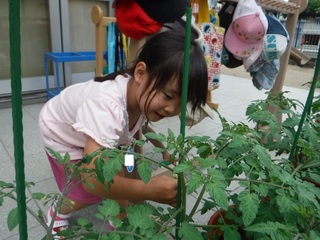 s-DSCF3487.jpg
