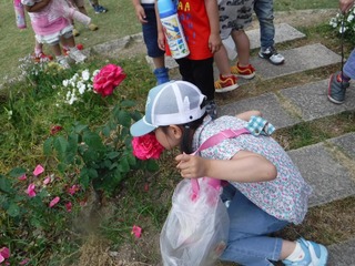s-DSCF3618.jpg